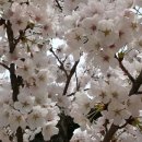 모악산도립공원 이미지