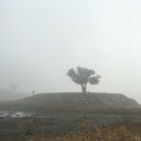 성곡지 네이버블로그