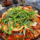 두둥실 청둥오리 이미지