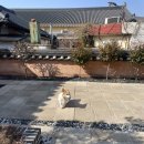 스테이달리 | 경주 황리단길 숙소 한옥스테이 달리2 내돈내산 솔직후기