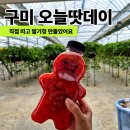 블랑제리길구미하우스 | 구미 딸기체험 다녀왔어요, 직접 딴 딸기로 딸기청 만들기까지 오늘땃데이 후기