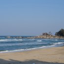 그로브동산 이미지
