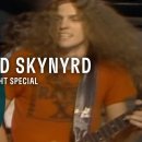 Lynyrd Skynyrd - Saturday Night Special 이미지