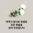 2206 | 제주항공 7C2206 방콕 수완나품-인천 탑승후기