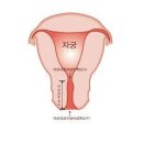 개발소발 대충대충 연재하지 않는게 더 신기한 만화류 甲 .jpg 이미지