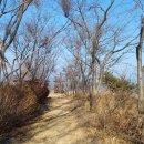 봉화산코스 이미지