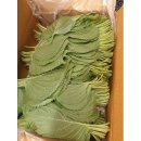 서진농장 이미지