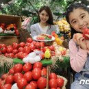 에그코리아 본점