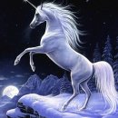 유니콘 이미지