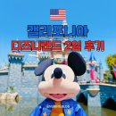 원라지에터 | LA 디즈니랜드 2회차의 2일 1파크 방문 후기 200배 즐기는 방법