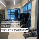 경산농업협동조합 | 경산 하양헬스장 추천! 엘핏 PT 하양무학지구점에서 시작한 나의 운동 루틴