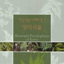 한국식물 도해도감2 양치식물 이미지