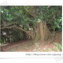 외연도보건진료소 이미지