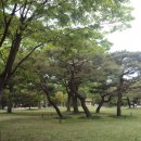 마음은 소녀 이미지