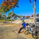 국토종주자전거길1-64 이미지