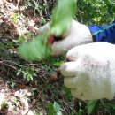 (구)옥동초 이미지