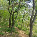 임학공원 장승 | [인천 계양] 계양산 임학공원 산림욕장 무장애길 치유의숲 산책로