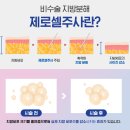 잠실비엘에스의원 이미지