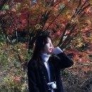 놀부광고디자인 이미지