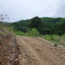 대지부동산공인중개사사무소 이미지