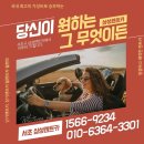 신경남세차장 | [광교 기업행사] 왜 쏠라티 15인승을 선택했을까? | 서초 삼성렌트카 고객 후기