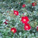 초록요양원 이미지