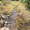 화순토지공인중개사사무소 | 화순군 동복면 신율리 답 1123제곱 (340평) 남향 매매가 4천400만원 화순토지 화순부동산 화순공인중개사