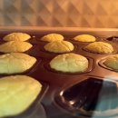 몽쉘꼬몽 이미지