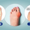 디소마 - 화성시 삼봉길 1-14 | 디소마