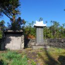 의사오흥태지려 이미지