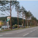 느티나무길>금강공원길 이미지