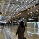 대포김밥 | 겨울 제주도 여행 1편 (돌낭예술정원, 대포 주상절리, 히든클리프, 하나로마트 회포장)