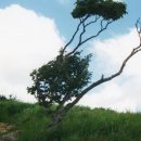 금강골재 이미지