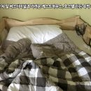 탐라호스텔 | 제주 공항 근처 및 버스터미널과 가까운 게스트하우스, 호스텔 린든 도미토리 숙박 후기