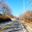 조안1리 이미지