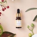 리빙강선생 이미지