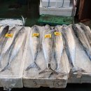 중앙선어시장 이미지