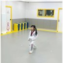 연포태권도장 이미지