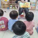 꼭꼭 숨어라 동물들아 이미지