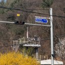 석수로 삼거리횡단보도 옆 | 남양주 라이딩코스 분위기 좋은 카페 데님우드 프라이빗룸 후기(애견동반ok)