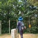 완산-164 이미지