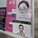 제주필의원 이미지