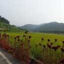 용천사편의점 이미지