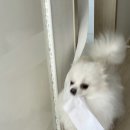 뭉치뭉치