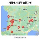 윤태형 | 이렇게 바쁜 것도 때로는 좋아