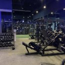 와이낫짐 이미지