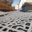 설레임무인텔 이미지