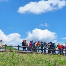 곰배령이야 이미지