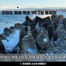 울진 온정 비소 12 | 묵호 뚜벅이 여행 1박 2일 맛집 카페 일정 코스 호텔 추천 비용 총정리