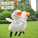 덕하우스 이미지